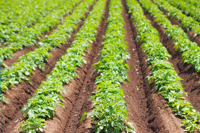 読んだ本 まめ暮らしnote